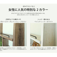 白井産業 トイコス ビンテージ調壁掛けディスプレイラック（壁固定式） ラダータイプ ブラウン 幅444×奥行182×高さ1917mm 1台（直送品）