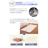 ファミリー・ライフ 形状記憶マットレス プレミアム シングル <ジャパンスリーパー> 幅970×高さ1950×奥行50mm（直送品）