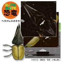 トーヨー MOVE昆虫おりがみ 036502 1セット(3冊)