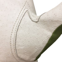 小野商事 サムソンライナー L AG620 10双セット 1セット(10双入)