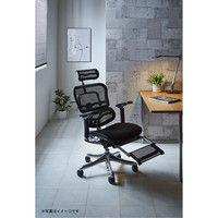 【軒先渡し】 エルゴヒューマン プロ オットマン内蔵 背メッシュ座モールドクッション ブラック×オレンジ EHP-CPL 1脚（直送品）