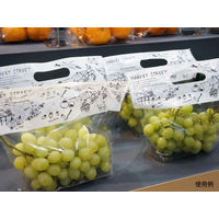 パックスタイル PS チャック付スタンド袋S MS白 CH2621 00527942 1包：500枚（50×10）（直送品）