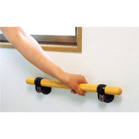 清水 いたわりエコ手すり 450 4905637866400（直送品）