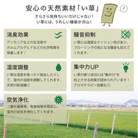 萩原 上敷 白馬（はくば） 本間 8帖 1枚（直送品）