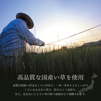 萩原 国産い草センターラグ 築彩（ちくさい） ブルー 約261×352cm 1枚（直送品）