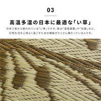 萩原 い草センターラグ（裏貼り） フェアリー ブルー 約230×230cm 1枚（直送品）