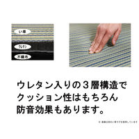 萩原 い草コンパクトパフラグ（裏貼り） フェアリー ブラウン 約180×240cm 1枚（直送品）