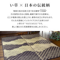 萩原 い草センターラグ（裏貼り） WATSUMUGI BK ブラック 約176×220cm 1枚（直送品）