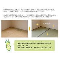 イケヒコ 純国産 い草 上敷き カーペット 糸引織 『柿田川』 江戸間3畳 約1760×2610mm 1枚（直送品）