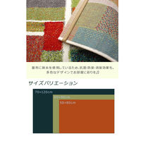 イケヒコ・コーポレーション エデン 玄関マット 約70×120cm 1310840016401 1枚