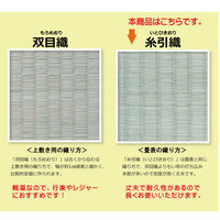 イケヒコ 純国産 減農薬栽培 い草 上敷き カーペット 糸引織 『西陣』 六一間10畳（約4620×3700mm） 熊本県八代産イ草使用 1枚（直送品）