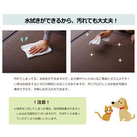 イケヒコ・コーポレーション スカッシュ GN 約82×82×1.7cm 1110460000000 1セット(4枚入)