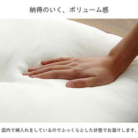 イケヒコ・コーポレーション ヌード 45角シート IV 約45×45cm 1210660000000 1組(2個)