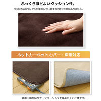 イケヒコ ラグ 1.5畳 無地 フランネル 『フランアイズ』 アイボリー 約1300×1850mm 1枚（直送品）