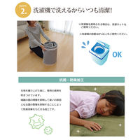 イケヒコ・コーポレーション ピオニーHCC IT IV 約200×300cm 1380000001364 1枚