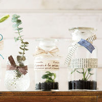 ヘッズ BKFコットンリボン-2 BKF-NR2 1セット（5巻：1巻×5パック）（直送品）