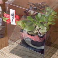 ヘッズ フォーユーブラウングログランリボン-1 FYB-GR1 1セット(5巻)