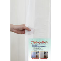 ユニベール スピック WH W150xH176 4548654315669 1枚