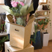 ヘッズ デリバリーカートン-2 D-2 1パック(20枚)