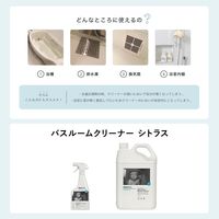 エコストア バスルームクリーナーN シトラスの香り 500ml 1個 エコストアジャパン