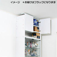 充英アート JAJAN コレクションラック専用上置 幅833mm 汎用285mm奥行 ロータイプ ブラック 設置可能天井高2250～2520mm（直送品）