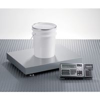 新光電子 本質安全防爆構造電子はかり(高精度タイプ) FZー300KFーi03 1個 61-8505-26（直送品）