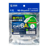 サンワサプライ カテゴリ6AフラットLANケーブル KB-FL6A-01W 1本