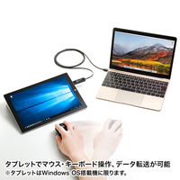 サンワサプライ ドラッグ&ドロップ対応Type-Cリンクケーブル(Mac/Wind KB-USB-LINK5 1個（直送品）
