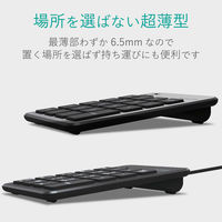 エレコム 有線テンキーパッド/パンタグラフ/薄型/ブラック TK-TCP018BK 1個（直送品）