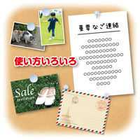 アスカ コルクボード 450×600mm Lサイズ CB339 1セット(3枚)