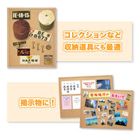 アスカ コルクボード 900×1200mm 3Lサイズ CB341 1枚