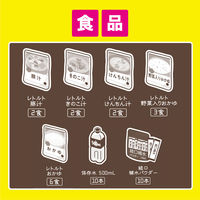 アイリスオーヤマ 自宅療養用 ホームケアセット 30点 HCS-30 1セット（直送品）