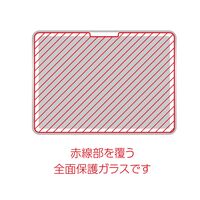 ナカバヤシ iPad Pro13インチ用 ガラスフィルム 光沢・ブルーライトカット TBF-IPP242GKBC 1個