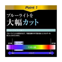 保護フィルム 富士通 FMV LIFEBOOK AHーX/D3 ブルーライトカット blc7-lspc15-mc002626 1枚（直送品）