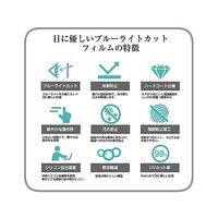 保護フィルム SEETEC P173ー9HSD 17.3インチ ブルーライトカット cblm-moni-k0001726010 1枚（直送品）