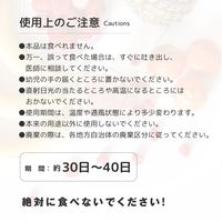 1個 芳香剤 消臭剤 青りんご 直径約7cm 30日-40日 お部屋 トイレ 玄関 車 お洒落 かわいい インテリア 雑貨 フルーティ（直送品）