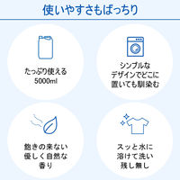 エコベール 洗濯洗剤 液体 ランドリーリキッド ラベンダー＆ユーカリの香り 詰め替え 大容量 業務用 5L 1箱（4個入） ECOVER