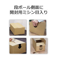 ロジマート ダンボール 60サイズ 265*200*125 20枚 開封穴有り 51z198an-20 1セット（直送品）