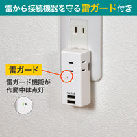 電源タップ USB充電器 3個口 USB-A×2 耐雷USBタップ 合計2.4A UA-322SB 1個 ELPA