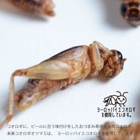 MNH 未来コオロギオツマミ わさび mnh-8-5 1セット(5袋入)（直送品）