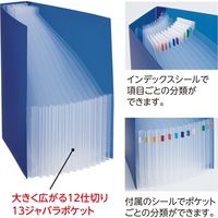 リヒトラブ アコーディオンファイル<soeru> A4 12仕切り(13ポケット) フロストクリヤー F8600-1 1冊