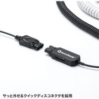 サンワサプライ 電話用ヘッドセット(片耳タイプ) MM-HSRJ03 1個（直送品）