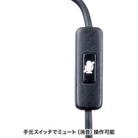 サンワサプライ 高性能USBピンマイク MM-MCU12BK 1個