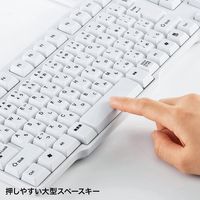 サンワサプライ USBキーボード(ホワイト) SKB-L1UN 1個