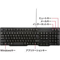 サンワサプライ USBキーボード（ブラック） SKB-L2UBKN 1個