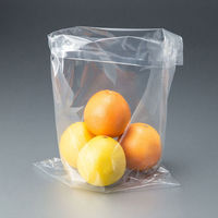 アスクルオリジナル　ポリ袋（規格袋）　LDPE・透明　0.03mm厚　15号　300mm×450mm　1袋（100枚入）  オリジナル（わけあり品）