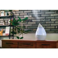 アピックスインターナショナル スチームファン式アロマ加湿器 SHIZUKU 2.4L マグネットプラグ タッチパネル 衛生的（直送品）