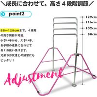 SIS 折りたたみ式鉄棒 てつをくん ブルー XK-022-BL 1台（直送品）