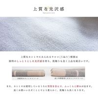 ソレイユ カシミヤリバーシブルチェック柄マフラー　パープル TX008982-52 1個（直送品）