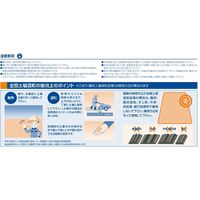 バイエル ビーラム粒剤 20kg 2056659 1袋 クロップサイエンス（直送品）